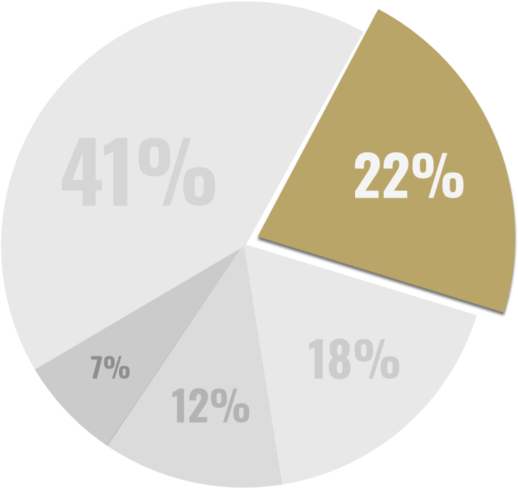 pie chart with 1 22% part