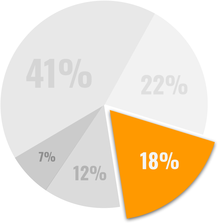 pie chart with 1 orange 18% part