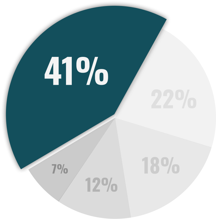 pie chart with 1 dark green 41% part